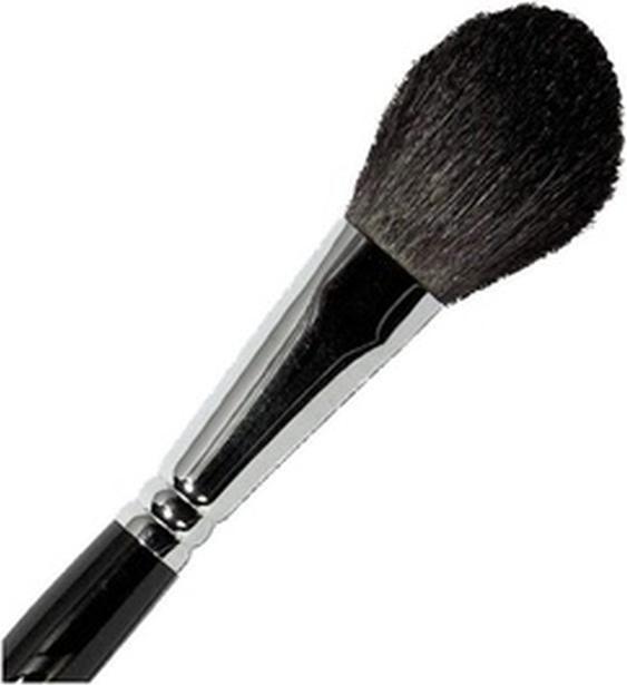 Parisax Rougepinsel 20x40mm