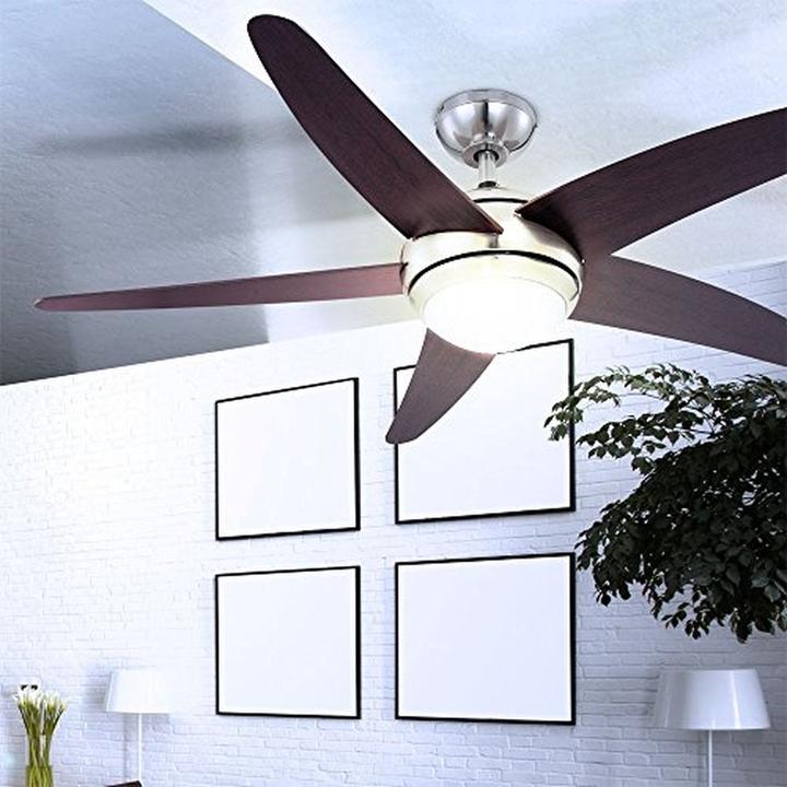 Produktbild Globo Fabiola