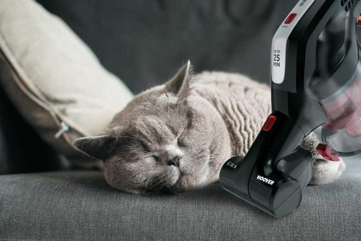 Image du produit Hoover Poussière de balai de batterie HF18RXL 011