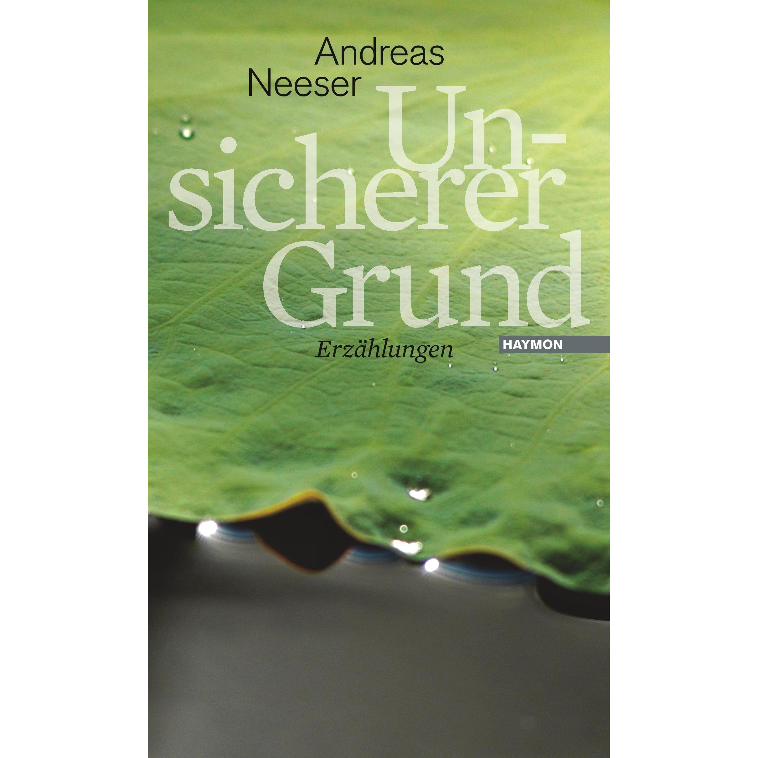 Unsicherer Grund, Belletristik von Andreas Neeser