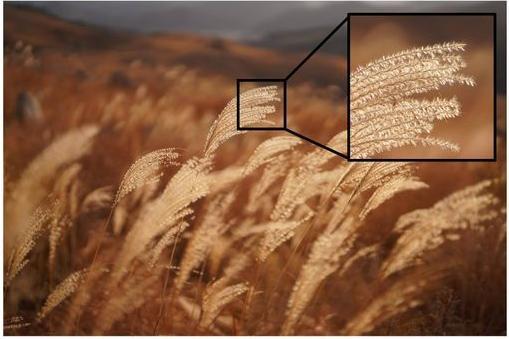 Actual product image Sony FE 50mm f/2.5 G (Sony E, full size)