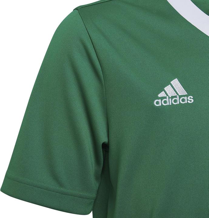 Produktbild adidas Entrada 22 Trikot (116)