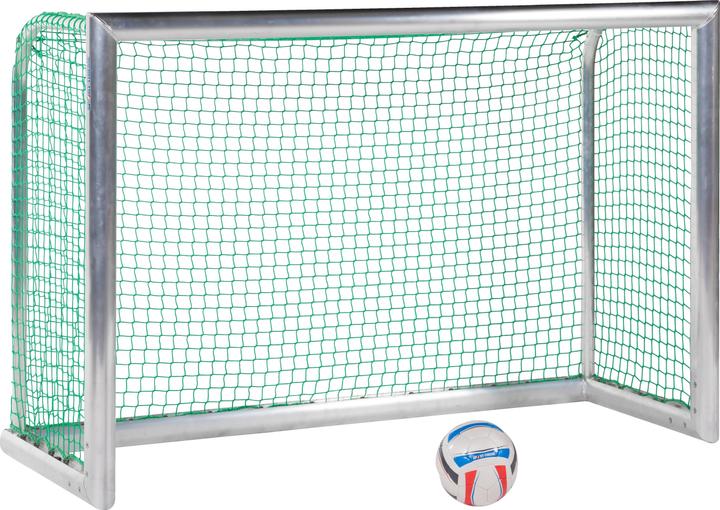 Image du produit Sport-Thieme Mini-porte d'entraînement Professional Kompakt, alu naturel brillant