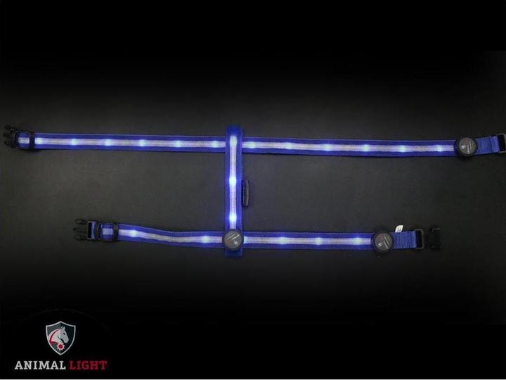 Image du produit Animal Light Glow (L, Chien, Général)