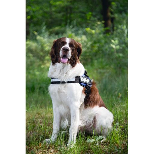 Thumbnail - Julius-K9 K9 Idc Powergeschirr Gr 2 Bla (2, Hund, Allgemein), Halsband + Leine