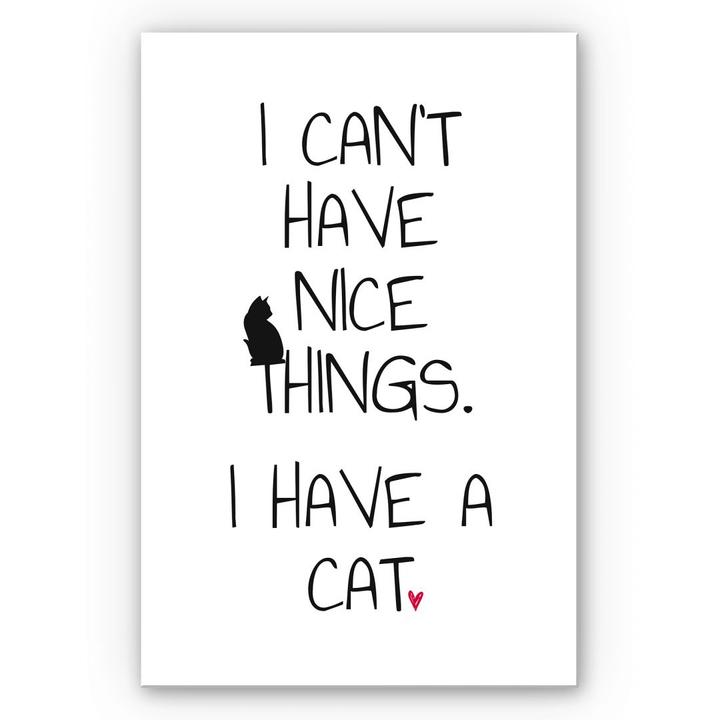 Produktbild Trenddeko I can't have nice Things - Cat (30 x 45 cm)