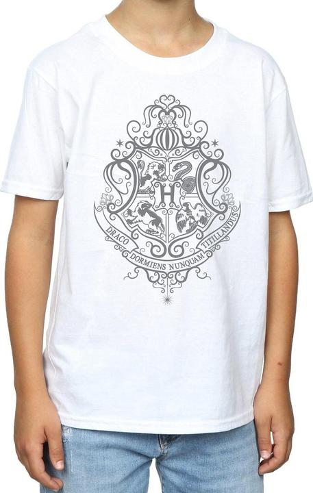 Image du produit - T-shirt HOGWARTS DRACO DORMIENS CREST - Garçon (128)