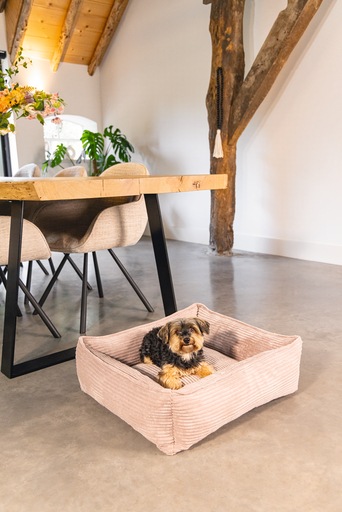 Productafbeelding Designed by Lotte Geribbeld (Hond)