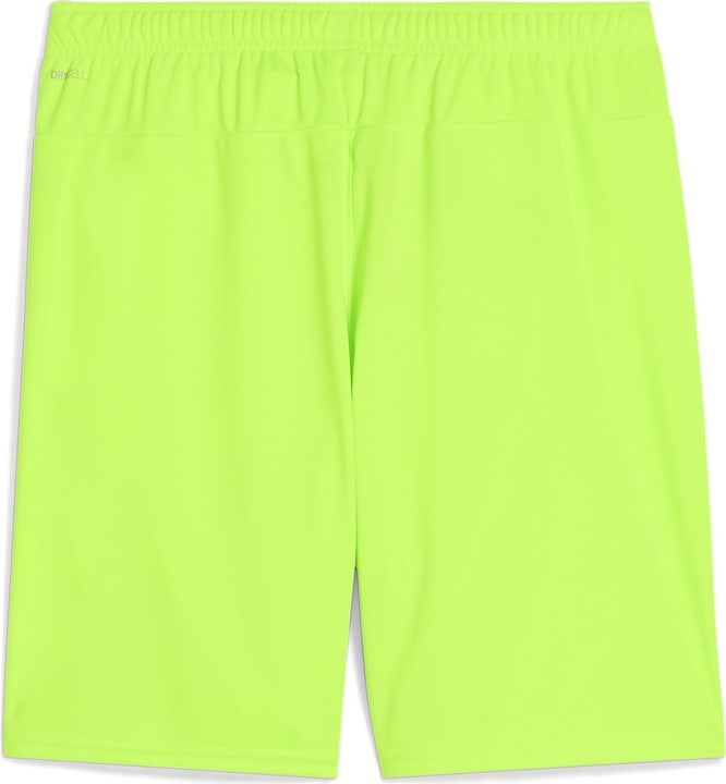 Actual product image Puma teamGOAL shorts (L)