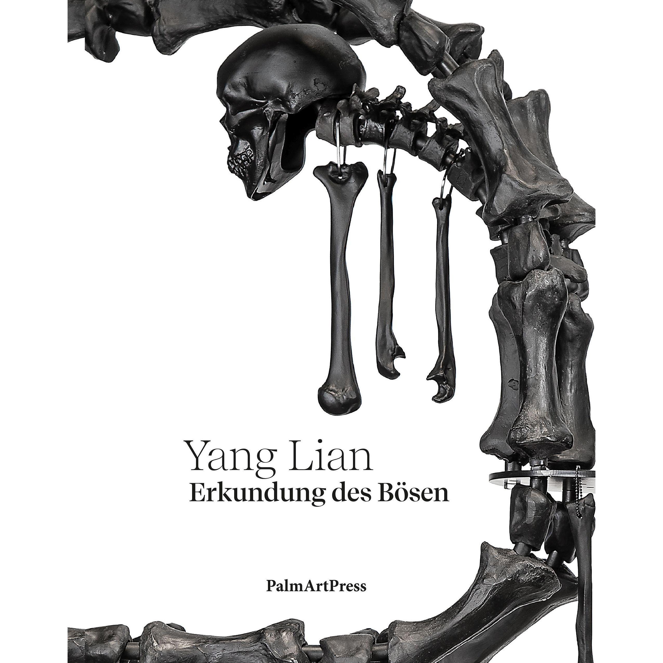 Erkundung des Bösen, Belletristik von Yang Lian