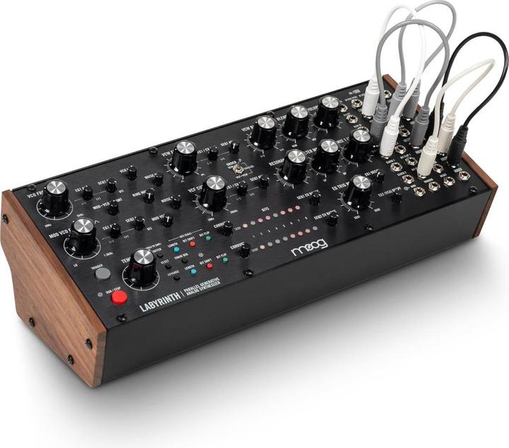 Actual product image Moog Labyrinth