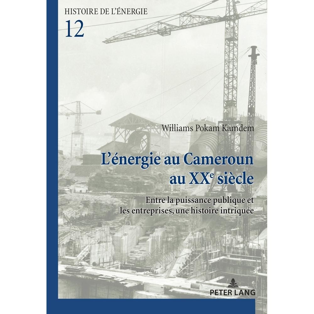 L'énergie au Cameroun au XXe siècle, Fachbücher von Williams Pokam Kamdem