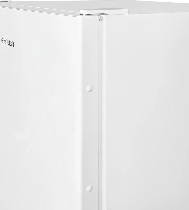 Produktbild Exquisit GS231-NF-H-040D (Freistehend, 161 l)