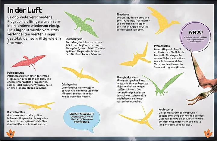 Produktbild Sticker-Lexikon. Dinosaurier