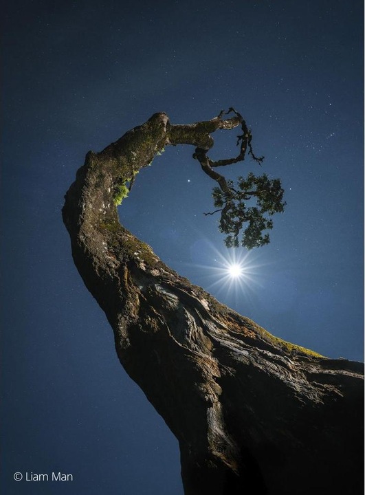 Immagine prodotto Sony FE 20-70mm f/4 G (Sony E, Full-frame)