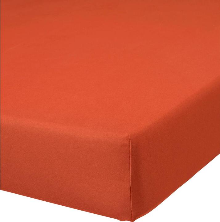 Actual product image Buona Notte Jersey box spring fitted sheet (90-100 x 200 cm)