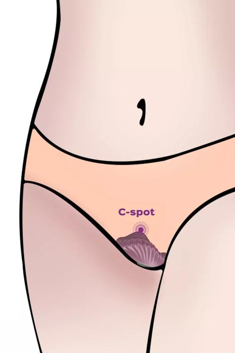 Image du produit Honey Play Box Magnetic Panty Vibrator Purple