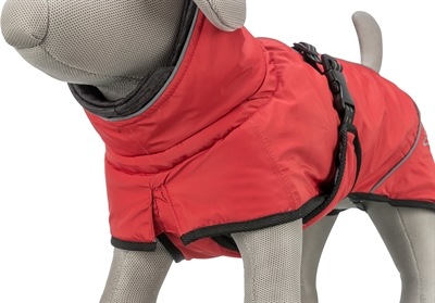 Produktbild Trixie Hondenjas Winter Explore Thermo Rood - 35 Cm (S, Hundemantel)