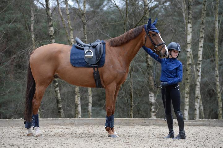 Actual product image Weatherbeeta Prime (XXL)