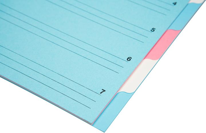 Immagine prodotto Biella Cartella (A4, 1x)