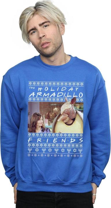 Image du produit Friends - Sweat FAIR ISLE HOLIDAY ARMADILLO - Homme (M)