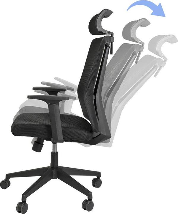 Produktbild Contini Ergonomic (47 - 53 cm)