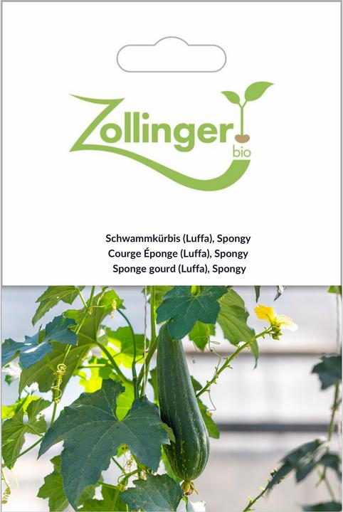 Zollinger Bio Schwammkürbis (Luffa), Spongy (Semi di verdura)