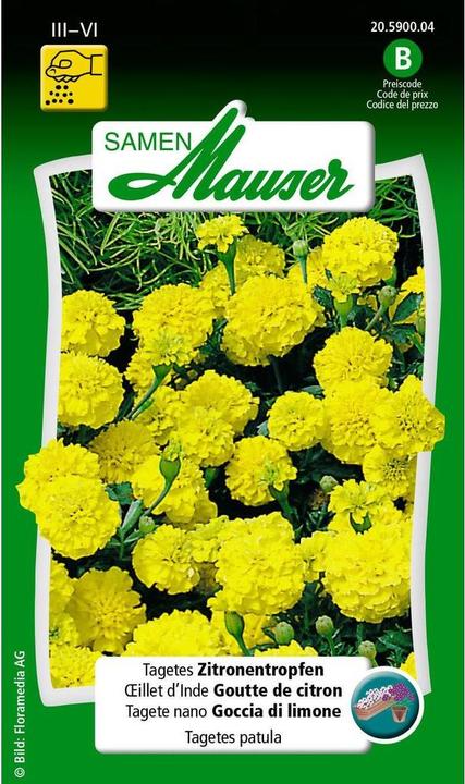 Actual product image Samen Mauser Tagetes lemon drops (Vegetable seeds)