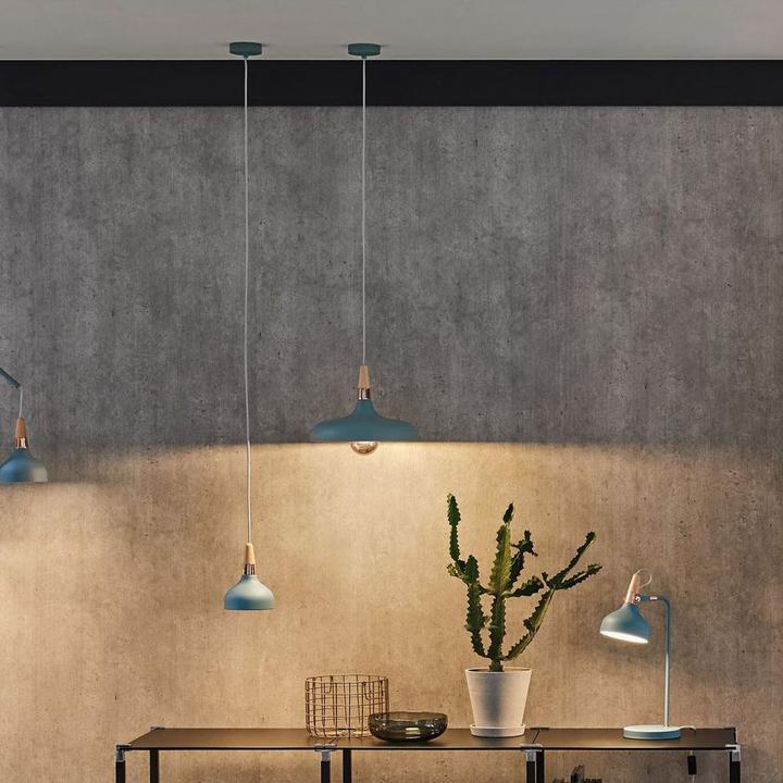 Image du produit Paulmann Neordic Juna (E27)
