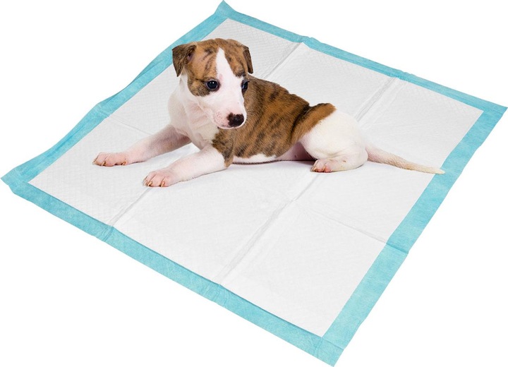 Produktbild Dogs Collection Trainingspads 60 x fÃ¼r Hunde, Welpenunterlage, 5-lagig, auslaufsicher, 60 x 60 cm (Hund)