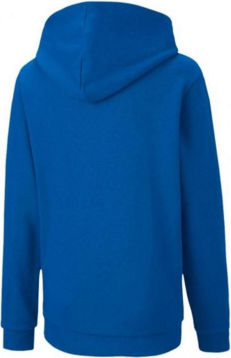 Produktbild Puma TeamGoal 23 Kapuzenpullover (116)