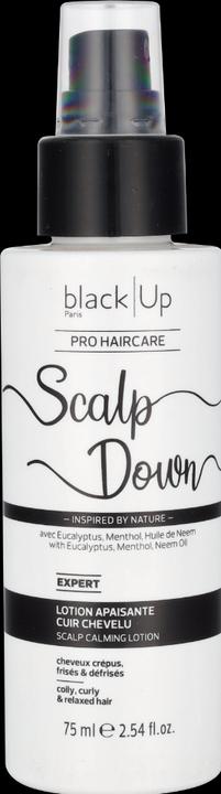 Black Up Scalp Down Calming Lotion (75 ml)