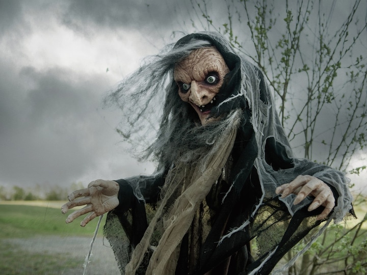 Actual product image Europalms Halloween witch Nahema, 160cm