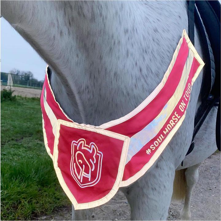 Image du produit Soulhorse Avant-train lumineux