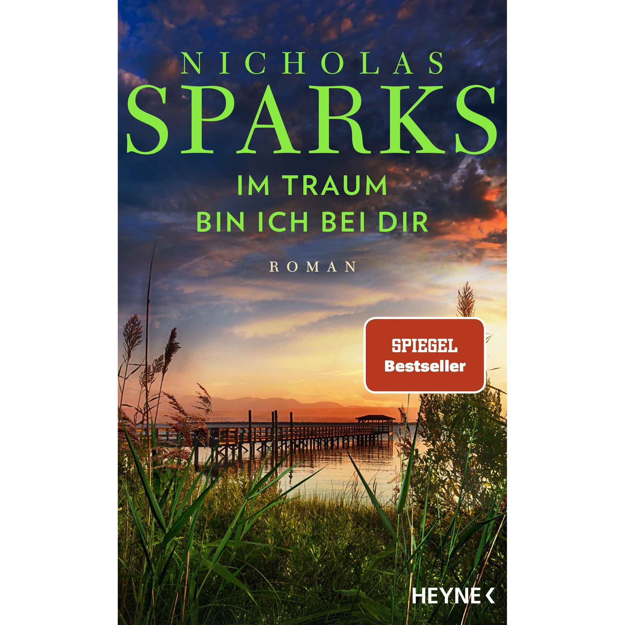 Im Traum bin ich bei dir, Belletristik von Nicholas Sparks