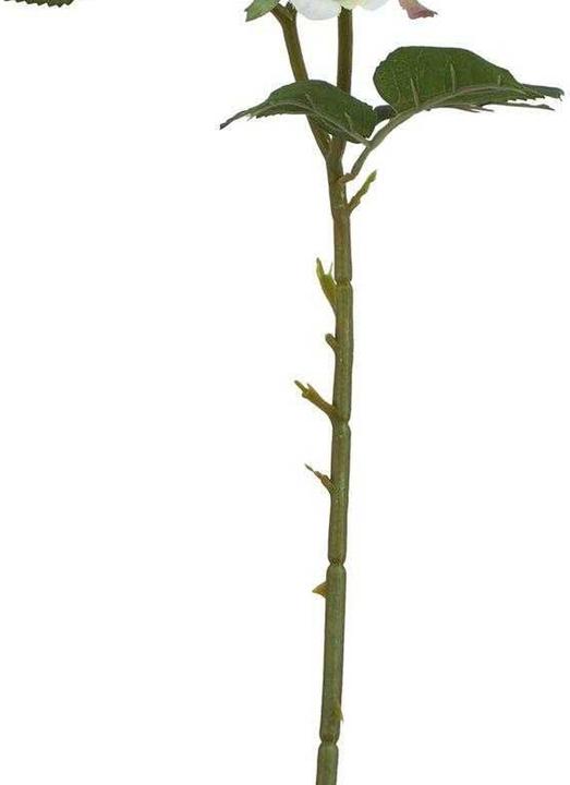 Actual product image Hill Interiors The Natural Garden Collection Rose Artificial Flower (58 cm)