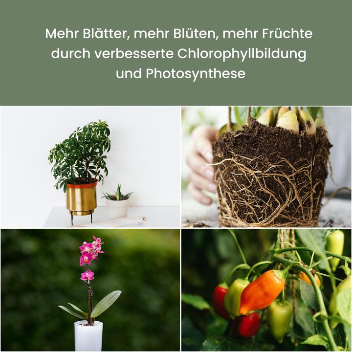 Actual product image Parus by Venso Sunlite XL 25 (LED, 220 V)