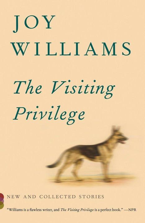 Produktbild The Visiting Privilege (Englisch, Joy Williams, 2016)