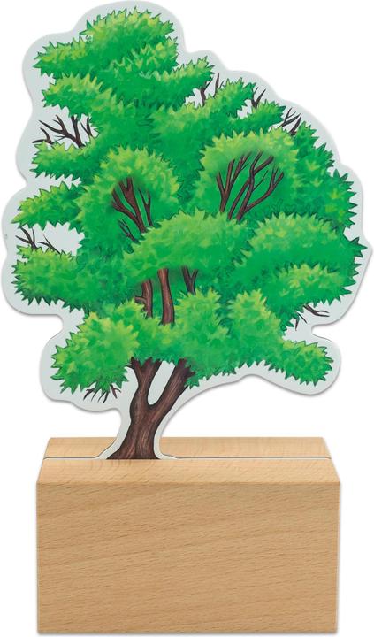 Produktbild Betzold Bäume bestimmen leicht gemacht mit Holzaufstellern (Deutsch)