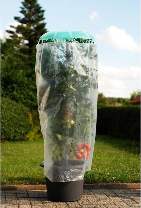 Image du produit Neogard Kit complet maison à tomates