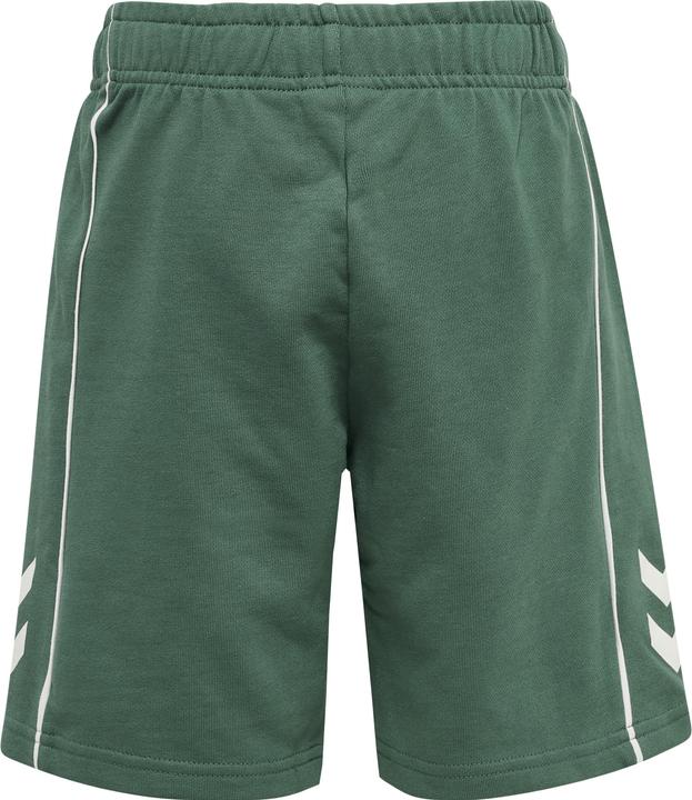 Actual product image hummel Hmldexter Shorts (122)
