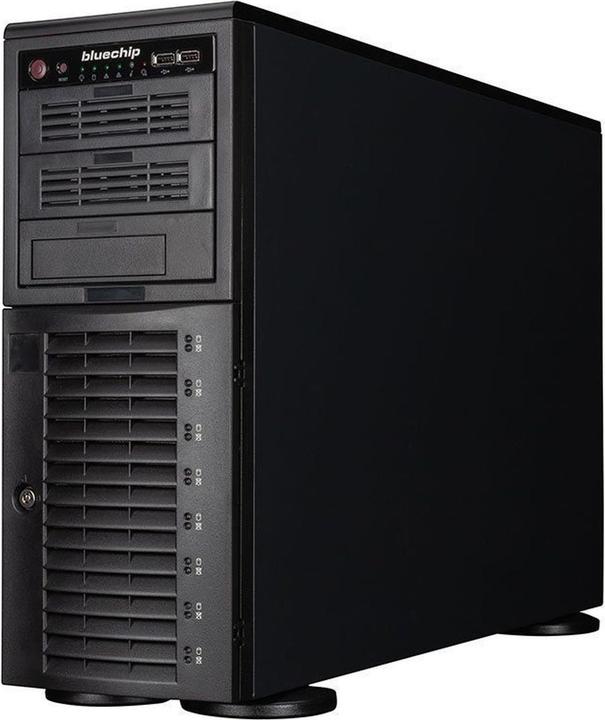 Actual product image Bluechip SERVERline T50306s (64 GB)