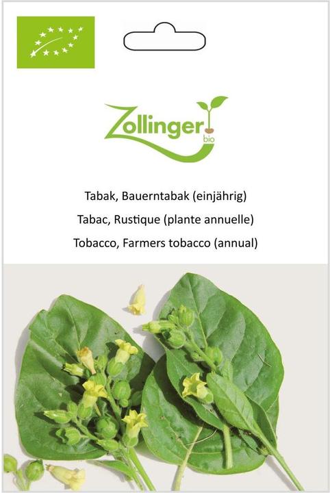 Produktbild Zollinger Bio Tabak, Bauerntabak (einjährig) (Keimlinge)