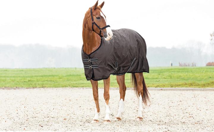 Produktbild Horse Guard 600D 0 g (155 cm)