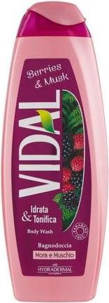 Vidal Brombeere und Moos Badeschaum Toning 500ml (500 ml, Schaumbad)