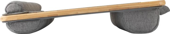 Produktbild Renkforce Laptop-Tisch mit Kissen