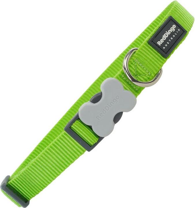 Image du produit Red Dingo Dog Collar Plain Lime Green M (M, Chien, Sport canin)