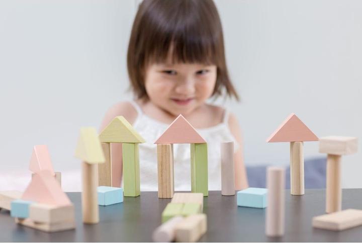Actual product image Plantoys 40 wooden blocks pastel