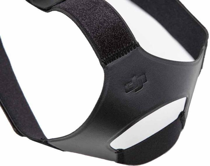DJI FPV Goggles