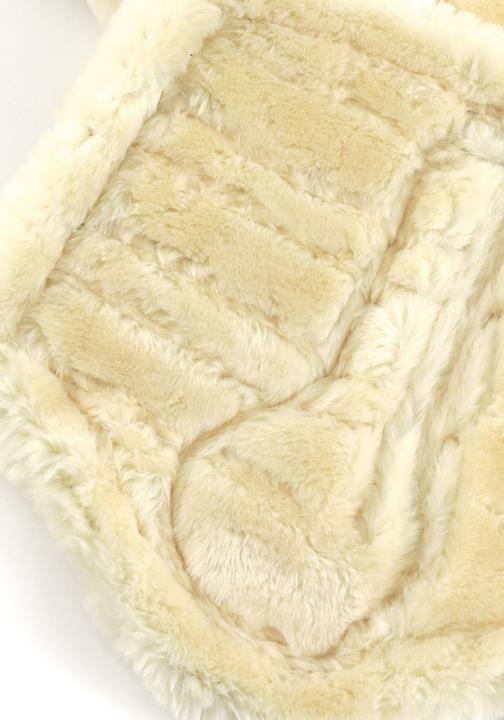 Produktbild Premier Equine Techno Wool Arbeitsgamaschen